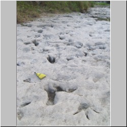 100_0413 (2009-26-07)cr.jpg